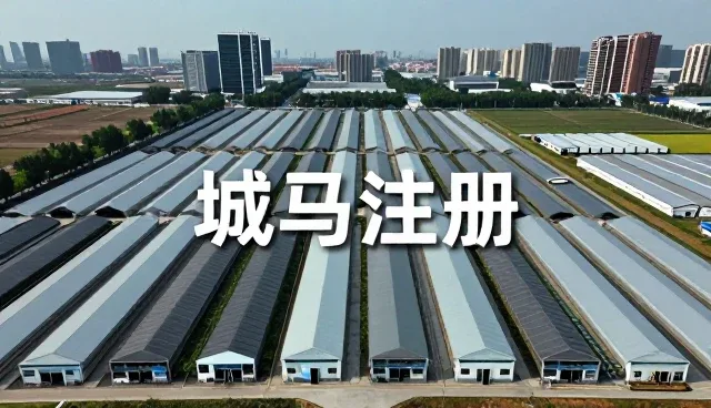 虚拟主机应用范围不断扩大